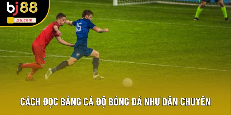Cách đọc bảng cá đ�?bóng đá như dân chuyên