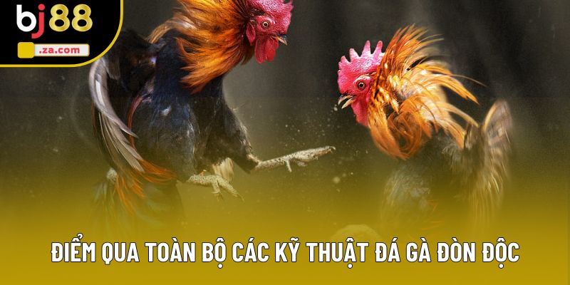 Điểm qua toàn b�?các k�?thuật gà đá đòn độc